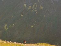 CIMG3324-2  We traversed big pastures