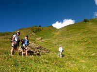 IMG 0961-2  Moving up the mountain