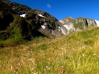 IMG 0964-2  Mountain meadows
