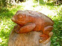 IMG 5035-2  with froggies