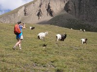 Sept13 13  They inspired many different children&#39;s stories