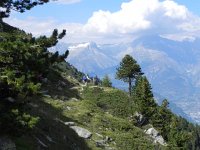 DSCN9432  Getting to the end of the trail near Hannigalp