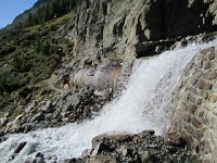 IMG 5074  Leo getting ready to enter the pipe