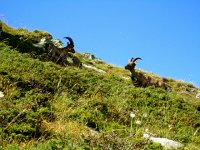 IMG 5125-2  They didn&#39;t mind us