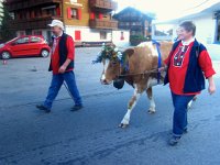 IMG 1121-2  Unbeknownst to us, Grächen had planned their désalp for today!