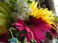 Nikon 13  Flower art