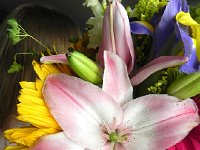 Nikon 20  Flower art