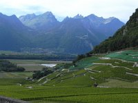 DSCN9655  and descended through the vineyards with Le Grammont &#38; Cie in the background