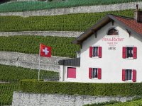 DSCN9658  Suissitude