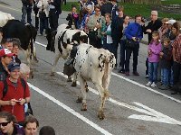 DSC06053  I&#39;m right in there with the rest of &#39;em!