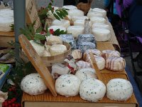 DSC06065  Many varieties!