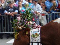 DSC06079  Nice bouquet!