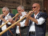 DSC06095  The horn section