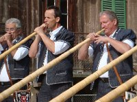 DSC06096  swatting it out