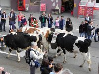 DSCN9687  How many photos were taken this day?