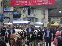 DSCN9695  This is really the Mother of All Désalpes!