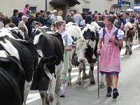 DSCN9698  All an expression of who &#34;we&#34; are