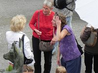 DSCN9723  And, it hits me,  not only identity but also fecundity, many generations present and some on the way