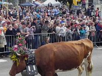 DSCN9739  Jeanne and her public