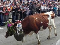 DSCN9745  Whose 40 years?