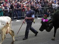 DSCN9748  &#34;Move it along.&#34;