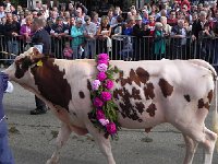 DSCN9751  A girth of flowers!