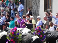 DSCN9778  There are always more coming it seems