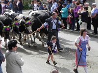 DSCN9779  Hold &#39;em back!