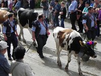 DSCN9782  Then the girthful guys