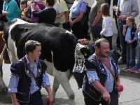 DSCN9783  must be that Bernese influence!