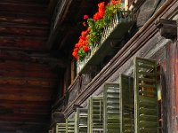 DSCN9793  Le Moléson broods in the distance...