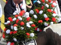 DSCN9799  The older animals carried enormous headdresses and bells