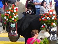 DSCN9800  All dressed up!