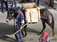 DSCN9805  One way of bring the summer&#39;s cheese production down to the valley
