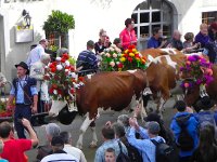 DSCN9815  At times, it seems vaguely Hindu!