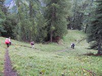 DSCN2195  We quickly dropped below the snow line and into the larch forests.