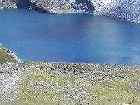 DSCN2201  Illsee and flower whose name I once knew