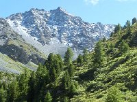 DSCN2221  Dropping into the forest