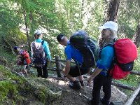 DSCN2225  Very steep and slippery through the Rinderalpwald