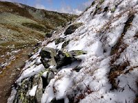 IMG 0576  Intimations of the coming winter!