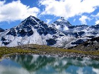 IMG 5276  Reflection