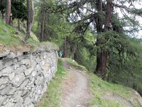 DSCN2235  Through the forest