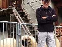 IMG 1295  Howard and some fuzzy sheep.