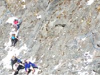 IMG 1309  The stragglers arrive,