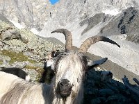 20140903 081741  King of the Mountain