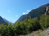 20140903 113415  Down in the bottom of the valley