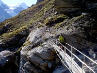 DSC01048  Glad that this bridge was here!