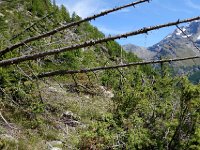 DSC01057  Avalanche sign