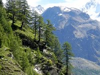 DSCN2316  Dropping to treeline