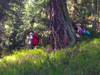 IMG 0596  Into the forest